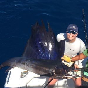 Meet your Posher, Davis